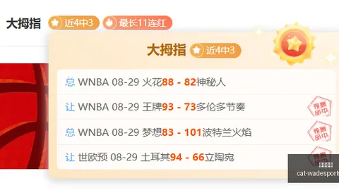 特克尼克对决库恩卡：特克尼克的无懈可击优势